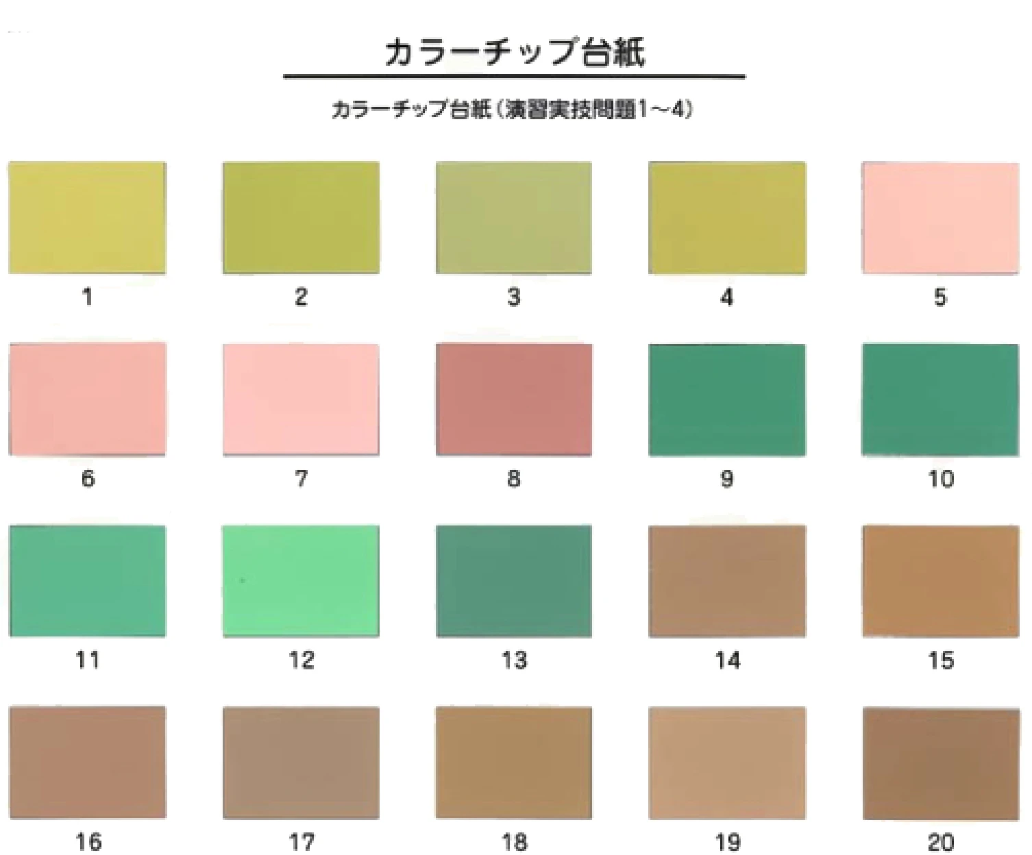 カラーチップ台紙